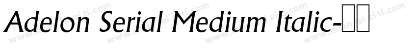 Adelon Serial Medium Italic字体转换